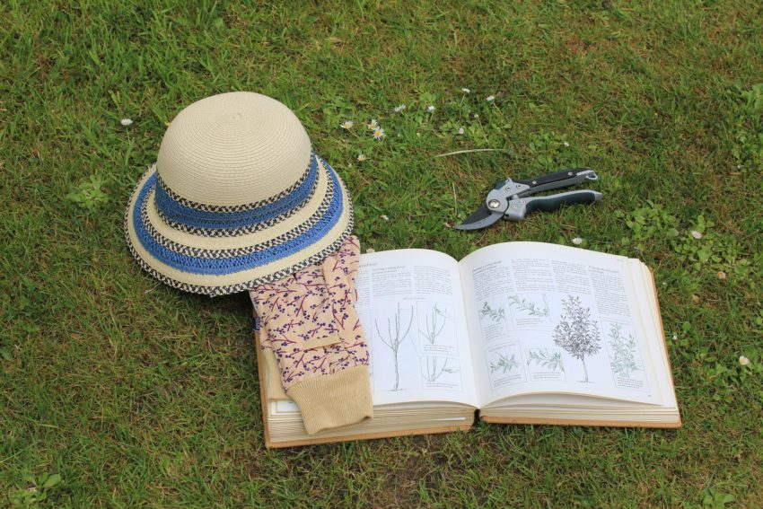 Hat and book in garden